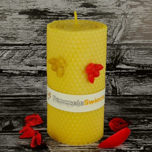 Pszczeli plaster XXL 13cm/6,5cm - naturalna świeca woskowa zwijana z węzy pszczelej